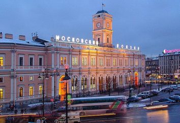St. Petersburg Moskovsky entfernt. Wie kommt man zum Moskauer Bahnhof bekommen