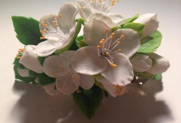 Staubblätter für Blumen mit seinen eigenen Händen: Schritt für Schritt Anweisungen, Funktionen und Empfehlungen