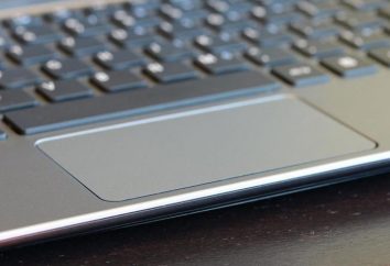 Touchpad: comment mettre en place l'appareil sur un ordinateur portable qui remplace la souris physique