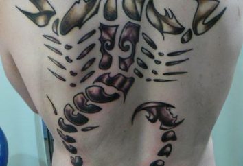tatouages moderne: un scorpion qui signifie