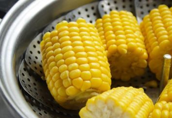 Cuire du maïs en multivarié – pratique, savoureux et utile