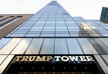 famosi grattacieli di New York City: Trump Tower