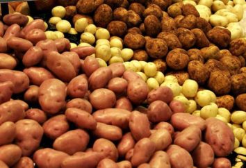 Descrizione di patate varietà Nevsky. Caratteristiche e recensioni