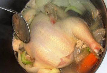 I piatti più semplici di pollo in multivarka