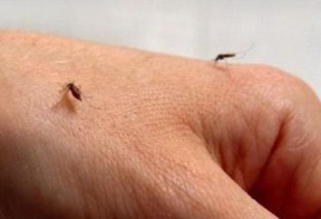 Komary dla niemowląt. Recenzje odstraszający komary dla dzieci poniżej jednego roku