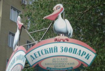Zoo a Omsk – un posto meraviglioso di riposo
