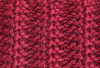 Gomme polonaise: plan tricot. Comment tricoter des rayons de gomme polonais