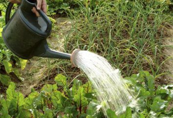 Système d'irrigation – est l'approvisionnement en eau dans les champs. irrigation