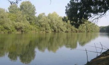 Natürliche und künstliche Teiche der Region Krasnodar. Nutzung und Schutz der Gewässer der Region Krasnodar