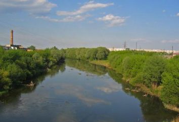 Río Upa: descripción, características, lugares de interés y datos interesantes