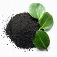 „Gumi“ – Dünger für die Wurzelbildung und Aktivierung von Pflanzenabwehrmechanismen