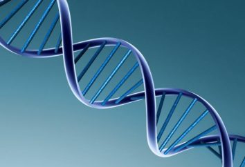 La struttura del DNA è … composizione chimica del DNA