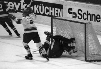 Vladimir Evgenevich Krutov, jugador de hockey: biografía, familia, logros deportivos