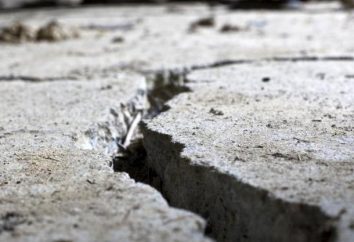 W Irkucku, trzęsienie ziemi, podniecony całe miasto