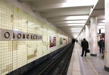 La station de métro "Kolomna": cafés, restaurants, boutiques. Musée-réserve « Kolomenskoye »