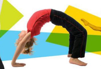 Gimnastyka dla dzieci. Sekcja sportowa gimnastyka dla dzieci od 3 lat w Moskwie