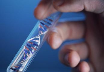 Co to jest DNA, jaka jest jego funkcja i znaczenie dla organizmów żywych