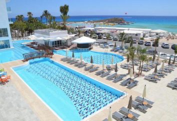 Vassos Nissi Plage Hotel 4 * (Chipre / Ayia Napa): fotos e comentários