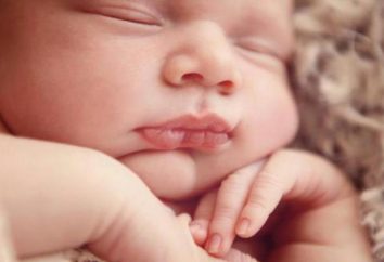Das Baby grunzt Nase, aber kein Rotz? Komorowski: mögliche Ursachen und Merkmale der Behandlung