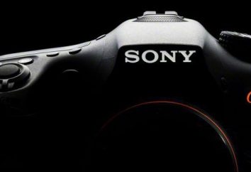 Aparaty SLR "Sony Alpha" (Sony Alpha): opis, zdjęcia, opinie
