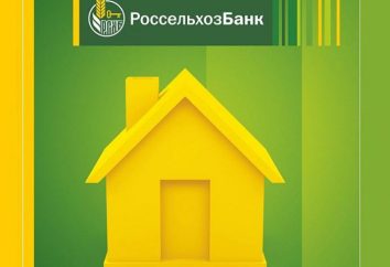Hypothek mit staatlicher Unterstützung. "Agricultural Bank": Hypothek Begriffe, Bewertungen