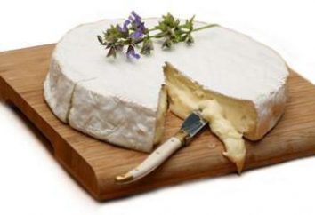 Brie – rei dos queijos e queijo dos reis. Queijo francês com brie mofo branco