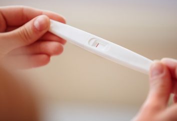 ¿Cómo funciona una prueba de embarazo. La tira de prueba: el principio de funcionamiento