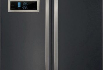 Réfrigérateur Hotpoint Ariston: pays de fabrication, contrôle des modèles