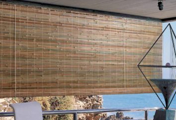 As cortinas de bambu: descrição, mecanismo de retenção e comentários