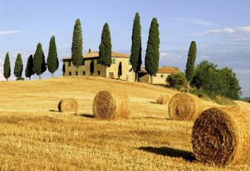 Merkmale des Agrotourismus in Italien