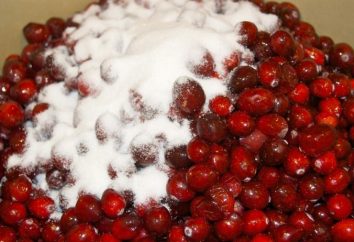 Cranberries, purê com açúcar: fresco receita de sobremesa