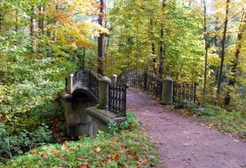 Park „Sergievka“ in Peterhof: eine Beschreibung, wie Bewertungen zu erhalten. Objekt des kulturellen Erbes der Russischen Föderation