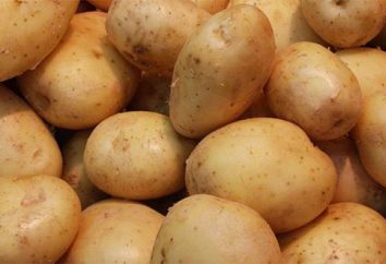 "Zhukovsky" (início batatas) comentários. batatas de semente "Zhukovsky"