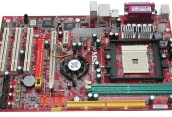 MSI N1996: idealna płyta dla zespołu komputerowego opartego na Socket 754 i procesorami AMD