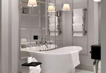 carreaux de miroir – belle décoration pour la salle de bain