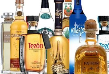 téquila mexicaine: ce que boire sous forme pure et comme un mélange de cocktails