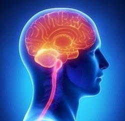 Zapalenie opon mózgowych: pierwsze objawy u osób w różnym wieku i pierwszej pomocy