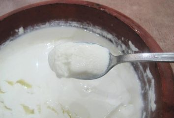 Was sind die Vorteile von Joghurt und in welchen Fällen sie Schaden anrichten können