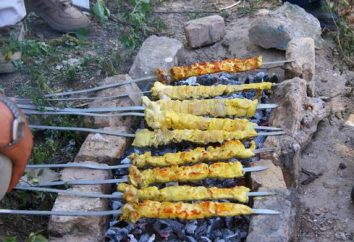 deliziose ricette per piatti di carne: kebab sulla griglia di maiale