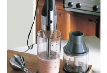 Blender Bosch – uma ferramenta indispensável na cozinha
