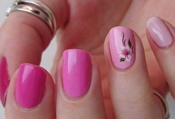 Maniküre und Design: rosa Nägel – französisch, Beratung bei der Registrierung