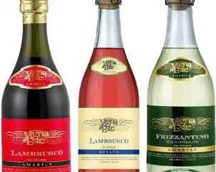 Lambrusco Wein: Ausdruck und Spritzer Freude in einem Glas