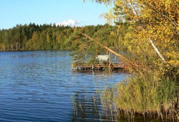 Lago della regione di Nizhny Novgorod. Breve descrizione delle migliori acque per la pesca e la ricreazione