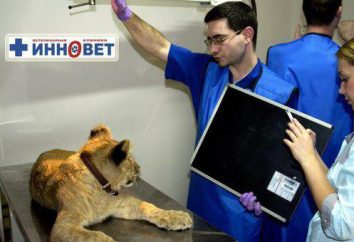 Clínicas veterinarias "Innovet" (Zhulebino): dónde, cómo conseguir las fotos y comentarios