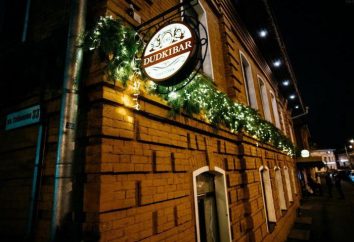 Il posto migliore in Yaroslavl – "Dudka Bar": una breve panoramica dell'istituto
