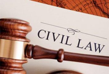Il concetto e le caratteristiche dei rapporti di diritto civile