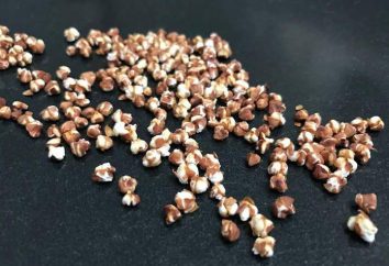 Popcorn da grano saraceno: le regole di base della cucina e ricette