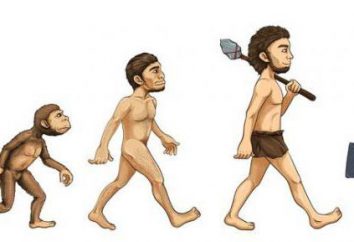 Il concetto di "evoluzione" in filosofia