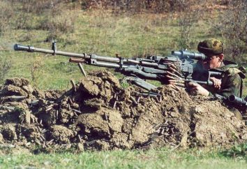 Schweres Maschinengewehr NSVT: Übersicht, Merkmale und Beschreibung