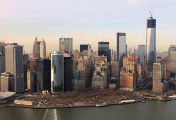 Was ist das höchste Gebäude in New York City?